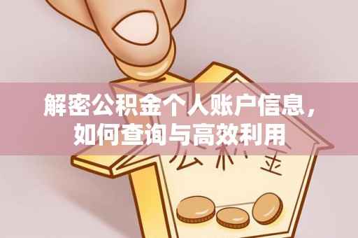 杭锦旗解密公积金个人账户信息，如何查询与高效利用
