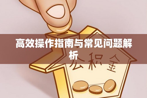 杭锦旗高效操作指南与常见问题解析