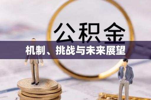 杭锦旗机制、挑战与未来展望